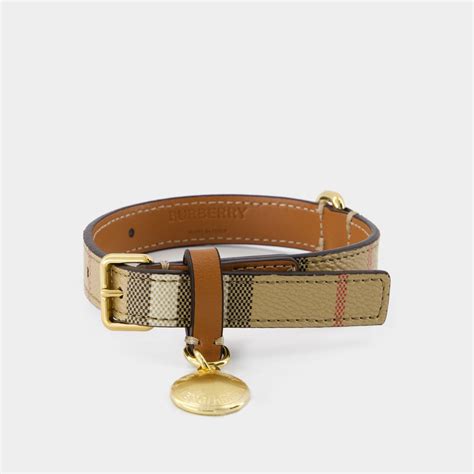 collier burberry chien